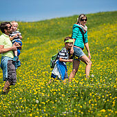 Hiking with the family over the alpine pastures in the Kaiserwinkl