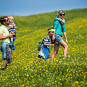 Wandelen met de familie op de bergweiden in Kaiserwinkl