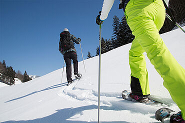 Schneeschuhwandern Kaiserwinkl, © Tourismusverband Kaiserwinkl