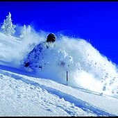 Pulverschnee im Kaiserwinkl