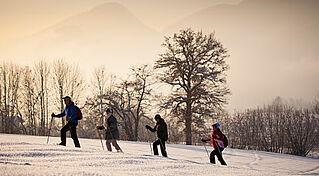 Schneeschuhwandern Kaiserwinkl, (c) Tourismusverband Kaiserwinkl