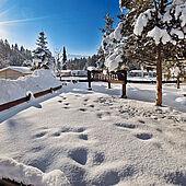 Wintereindrücke vom Eurocamp in Kössen